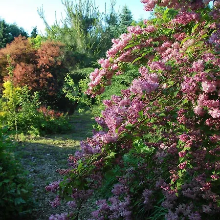 Pensjonacik Ogrody 3*