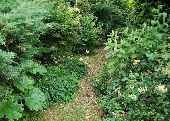 Pensjonacik Ogrody בית הארחה