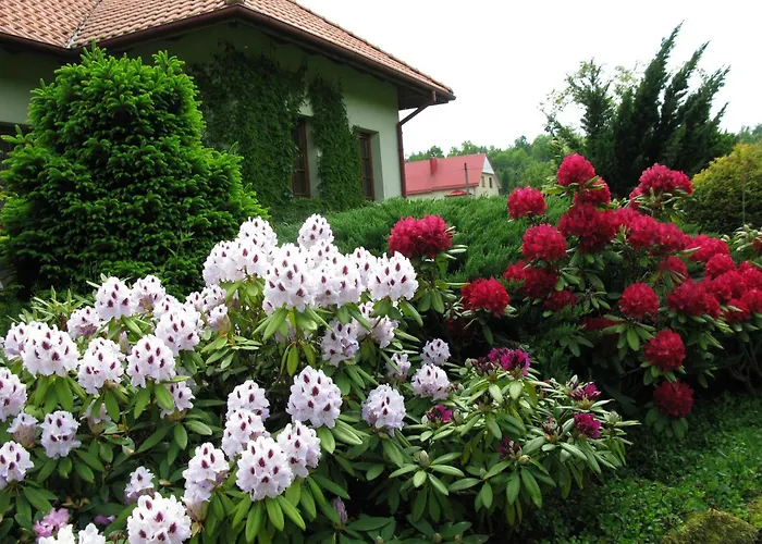 Pensjonacik Ogrody 3* Pierzchno