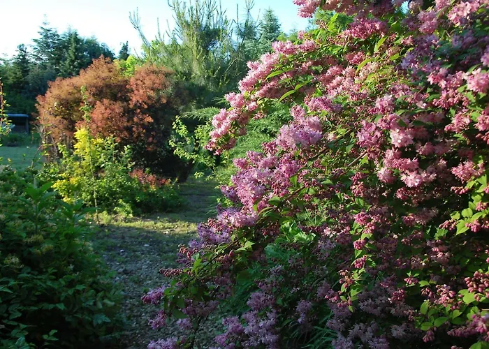 Pensjonacik Ogrody 3*