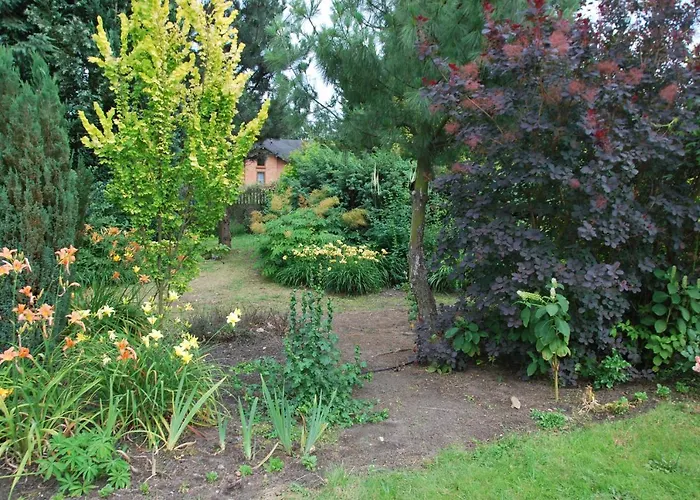 Pensjonacik Ogrody בית הארחה פייז'צ'נו